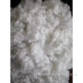 HOLLOW CONJUGATED SILICONISED FIBER polyester HCS fiber for filling pillows Factory